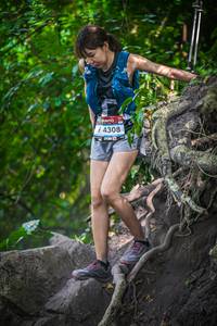 BIB: 4308
                            <button type="button" onclick="openModal(7085013)" class="btn btn-primary btn-sm float-right btn-popup" data-toggle="modal" data-target=".modal-high-quality">
                        <i class="fas fa-shopping-cart"></i> Add to Cart
                    </button>
                                            <button type="button" onclick="isThisMe(7085013, true)" class="btn btn-success btn-sm float-right btn-popup btn-isme hidden" data-toggle="tooltip" data-placement="bottom" title="นี่คือรูปของคุณใช่ไหม คลิกที่นี่เพื่อเอาเข้าอัลบั้ม">
                        <i class="fas fa-plus"></i> Add to album
                    </button>
                    <button type="button" onclick="isThisMe(7085013, false)" class="btn btn-warning btn-sm float-right btn-popup btn-isnotme hidden">
                        <i class="fas fa-ban"></i> Remove from album
                    </button>